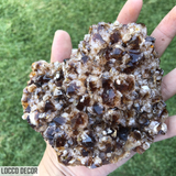 1.004kg 8x13x13cm Heat Treated Black Amethyst from Uruguay