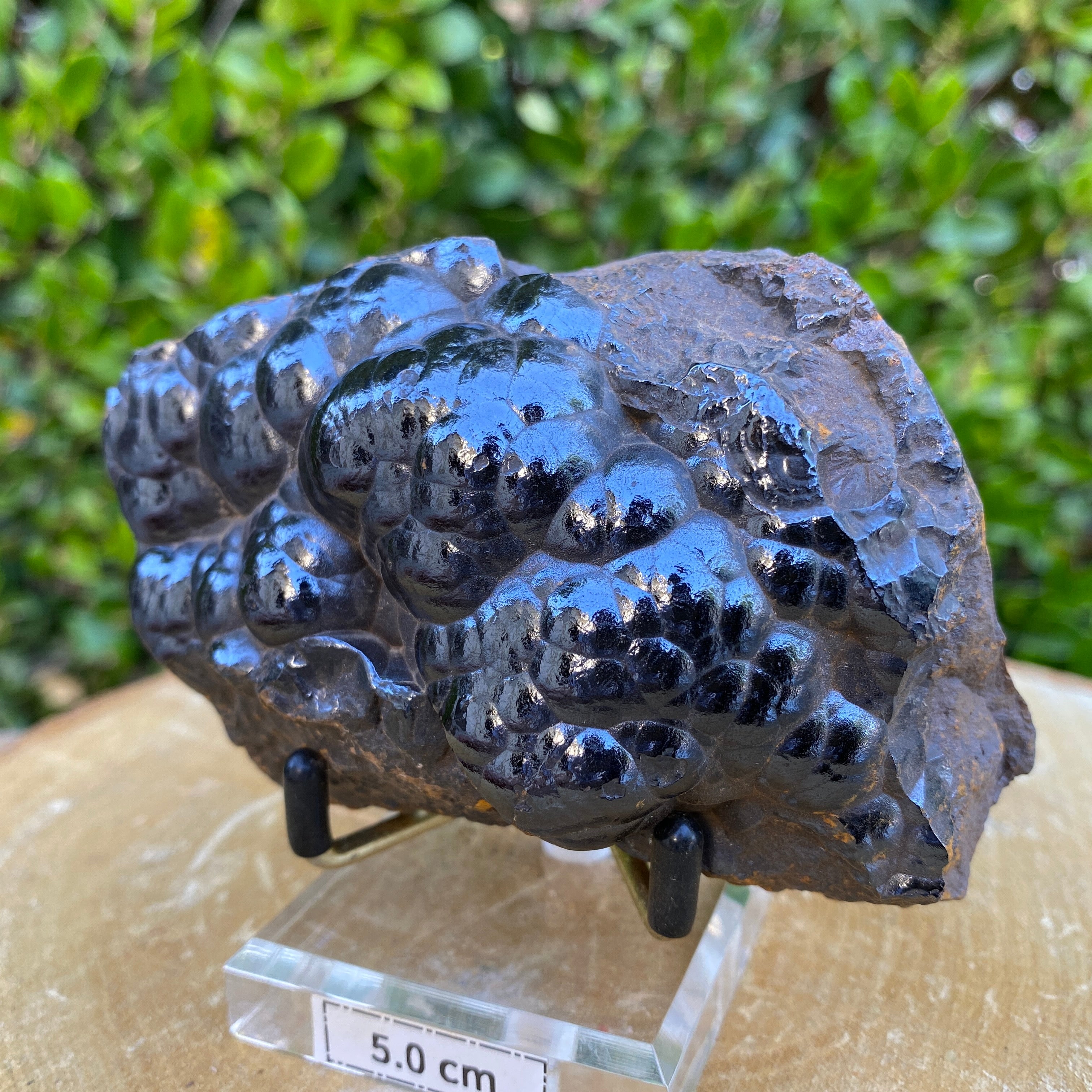 502.0g 12x8x6cm Black Botryoidal Hematite from Morocco