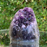 356.1g 7x6x9cm Purple Amethyst Geode from Uruguay