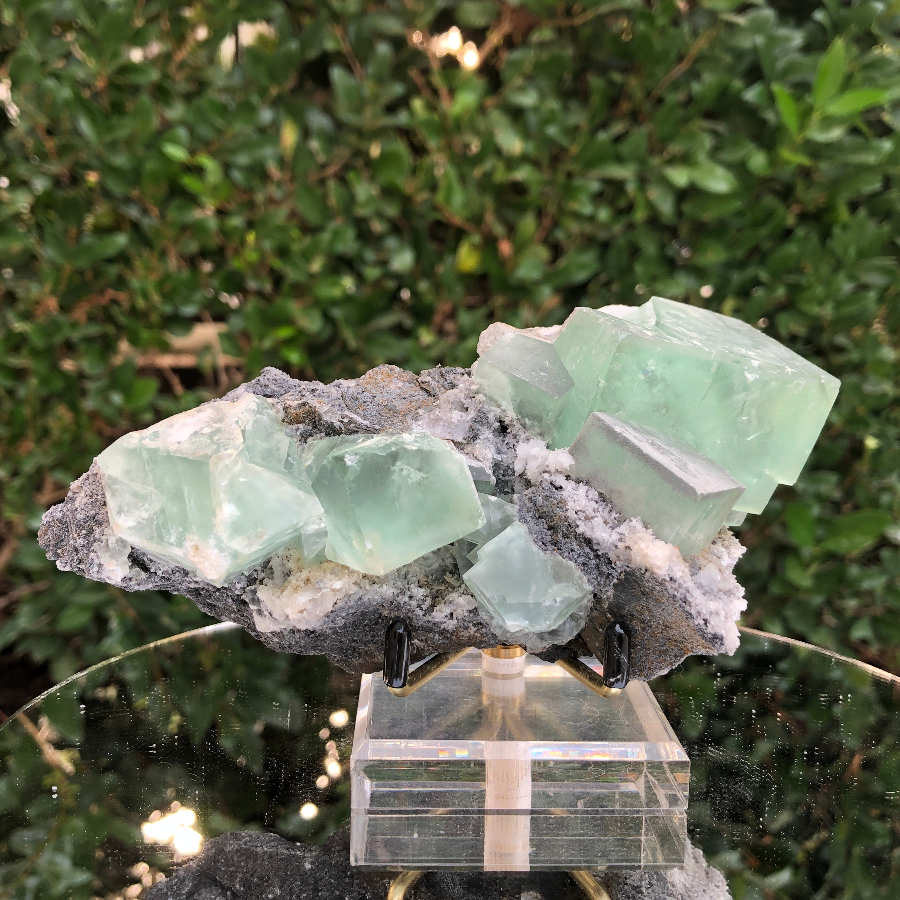 648g 16x9x9cm Green Fluorite Translucent from China