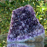1.18kg 12x11x8cm Purple Amethyst Cluster Cut Base Grade A from Uruguay