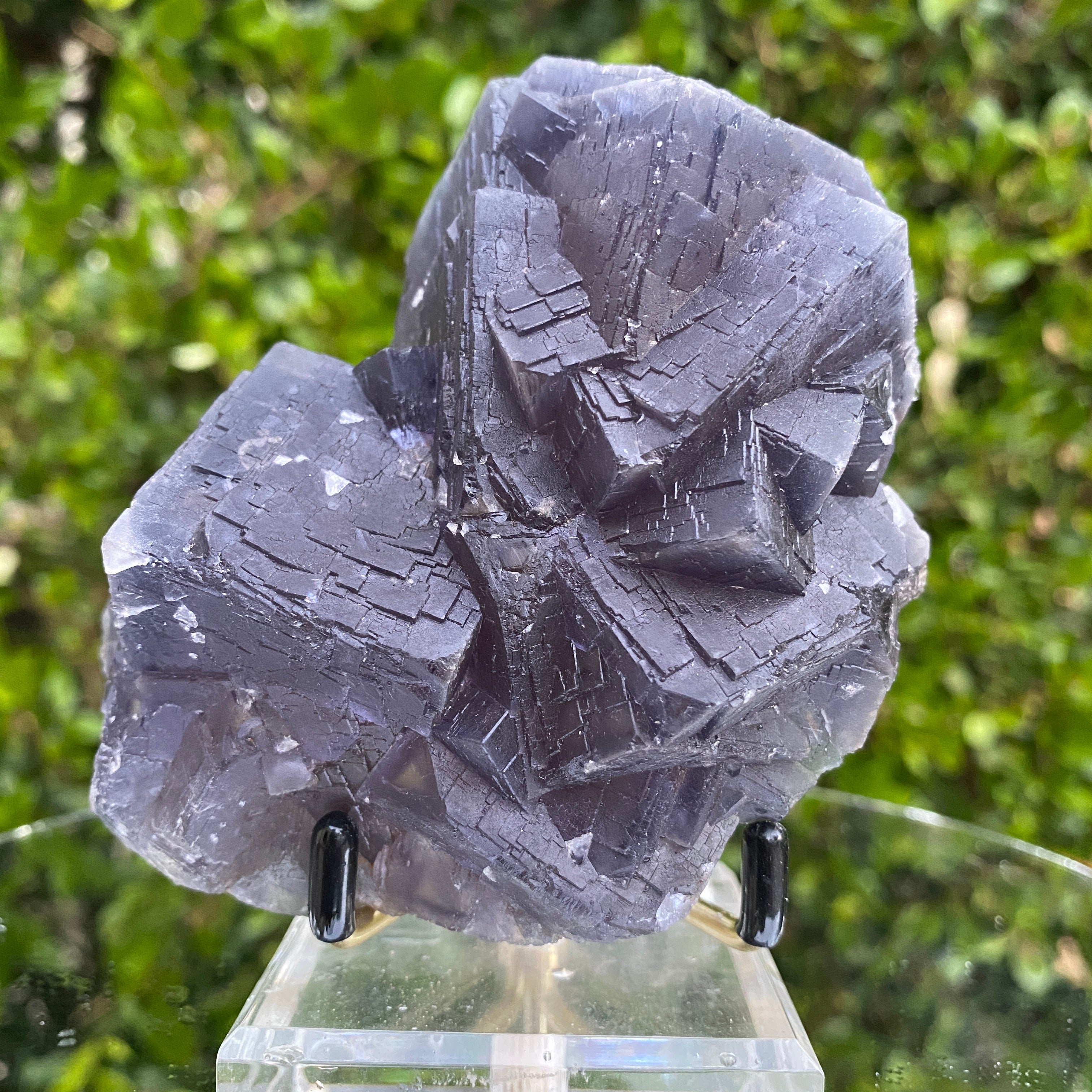 576g 12x9x6cm Veins and Detailed Very Dark Purple Fluorite from Balochistan, Pakistan