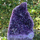 1.2kg 11x8x4cm Purple Amethyst Cluster Cut Base Grade A from Uruguay