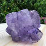 676g 10x10x10cm Purple Fluorite from China