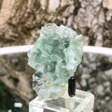 42g 5x3x3cm Glass Green and Clear Fluorite from Xianghualing,Hunan,CHINA