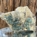 326g 11x9x4cm Green botryoidal Fluorite from China