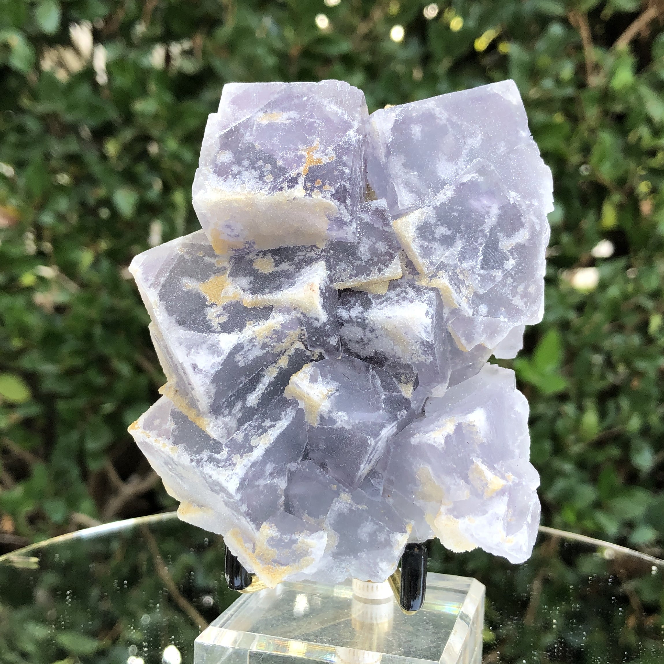 486g 9x7x7cm Lavander Purple Fluorite  from China