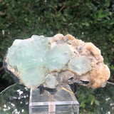424g 13x9x5cm Green Fluorite Translucent from China