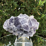 760g 13x9x7cm Lavander Purple Fluorite  from China