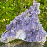 392g 14x9x8cm Purple Tanzanite Fluorite from China