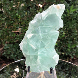 724g 15x9x7cm Green Fluorite Translucent from China