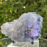 438g 11x7x5cm Purple Tanzanite Fluorite from China - Locco Decor
