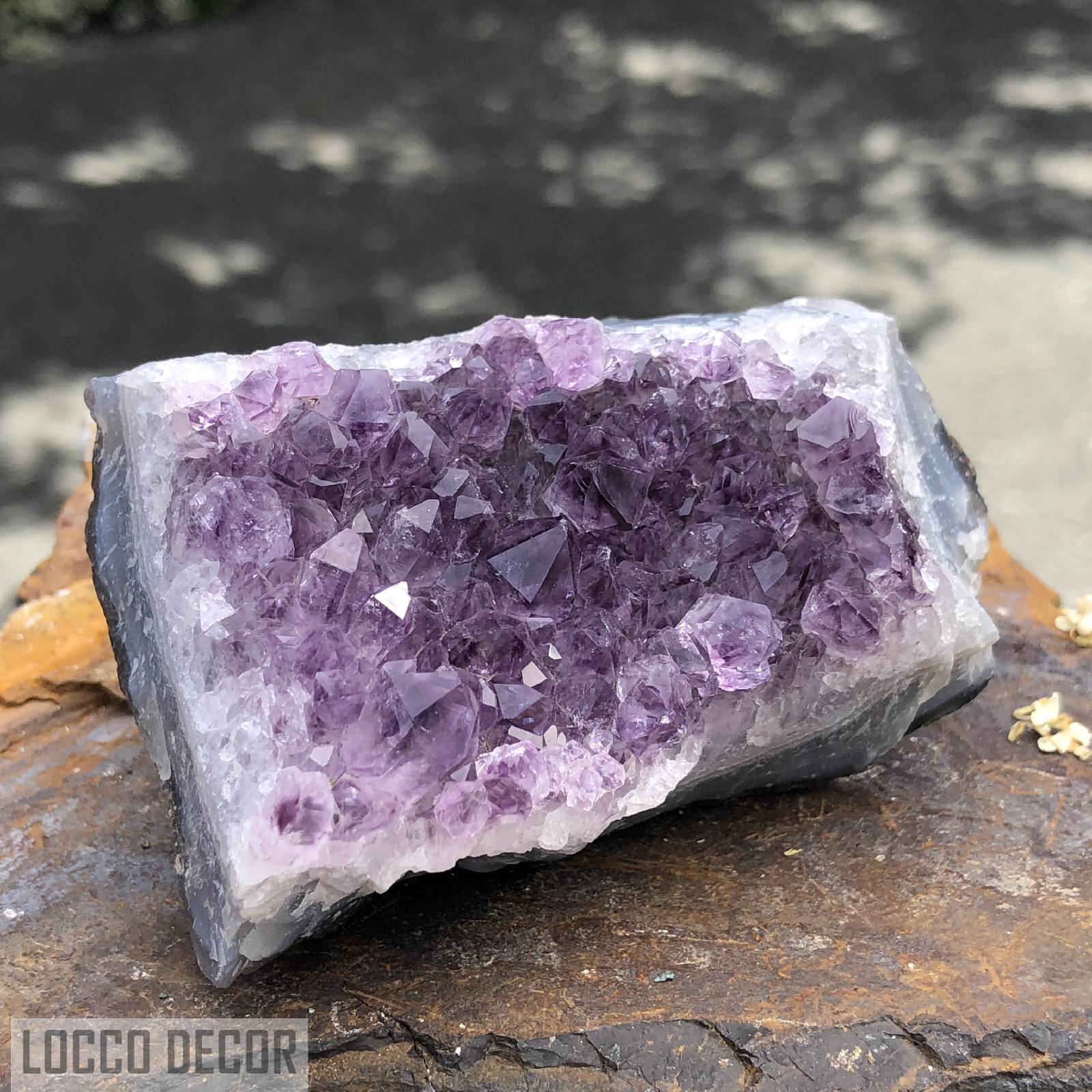 176g 8x6x4cm Shiny Purple Amethyst from Uruguay