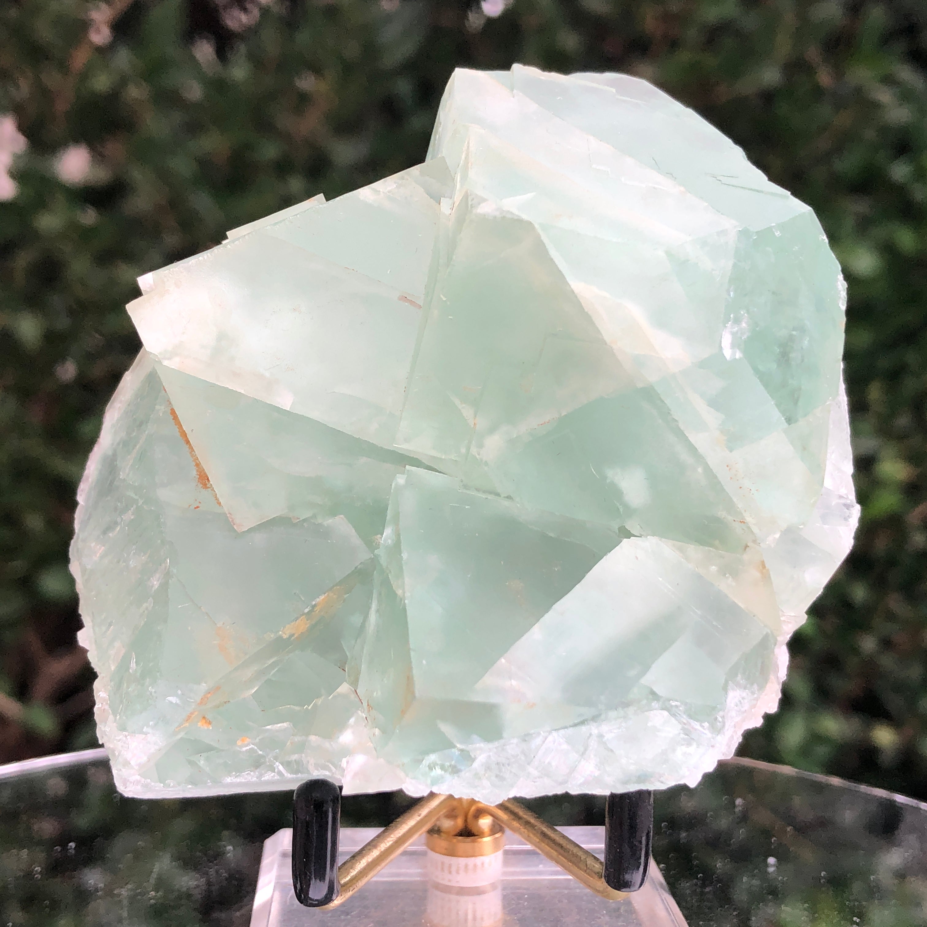 422g 9x8x6cm Green Fluorite Translucent from China