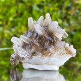 44g 5.5x5x3.5cm Clear Calcite from Fujian,China