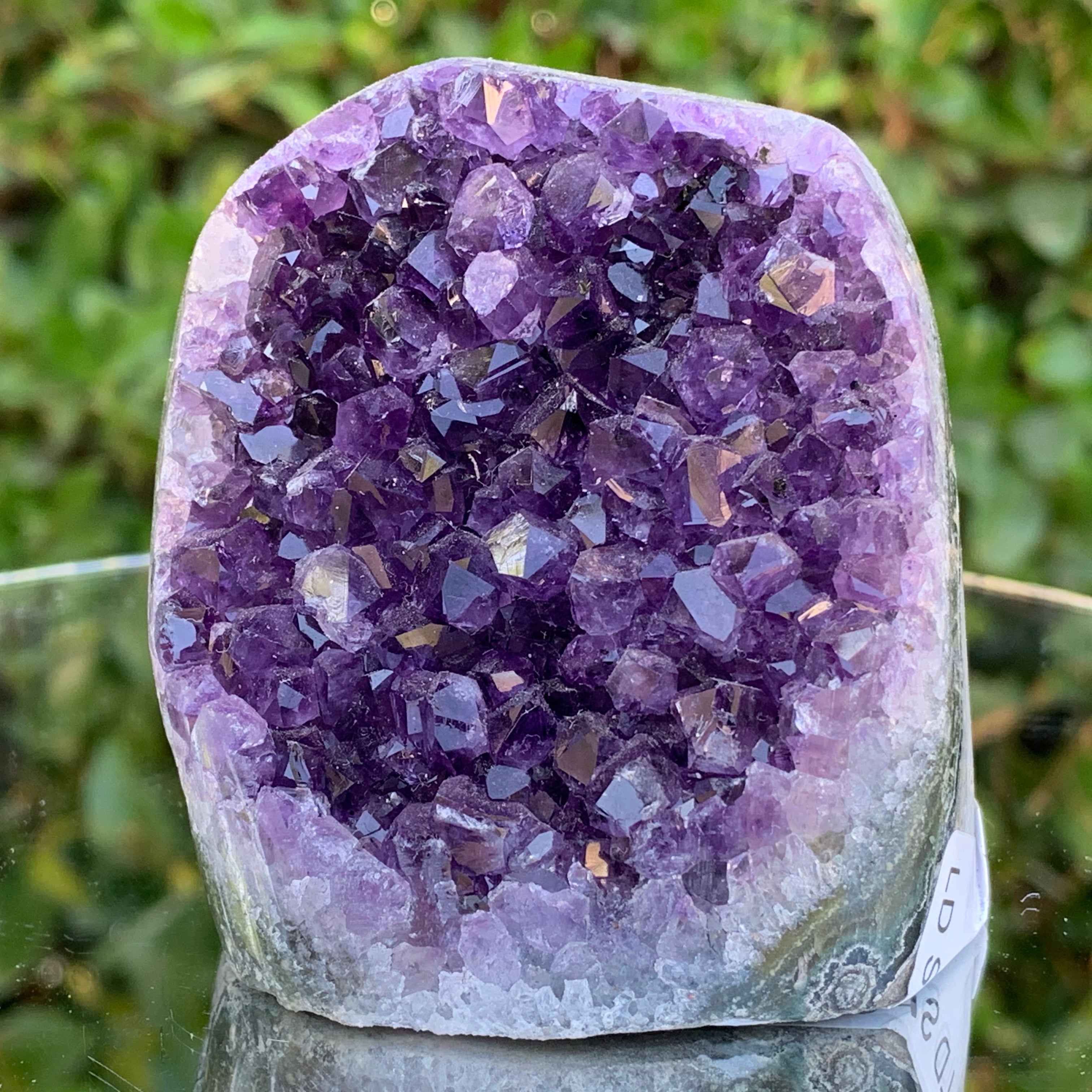 294g 6x5x7cm Purple Amethyst Geode from Uruguay