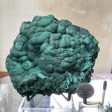 1.336kg 15x14x6cm Shiny Green Malachite from Sepon Mine, Laos