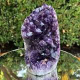 922g 12x7x7cm Purple Amethyst Geode from Uruguay
