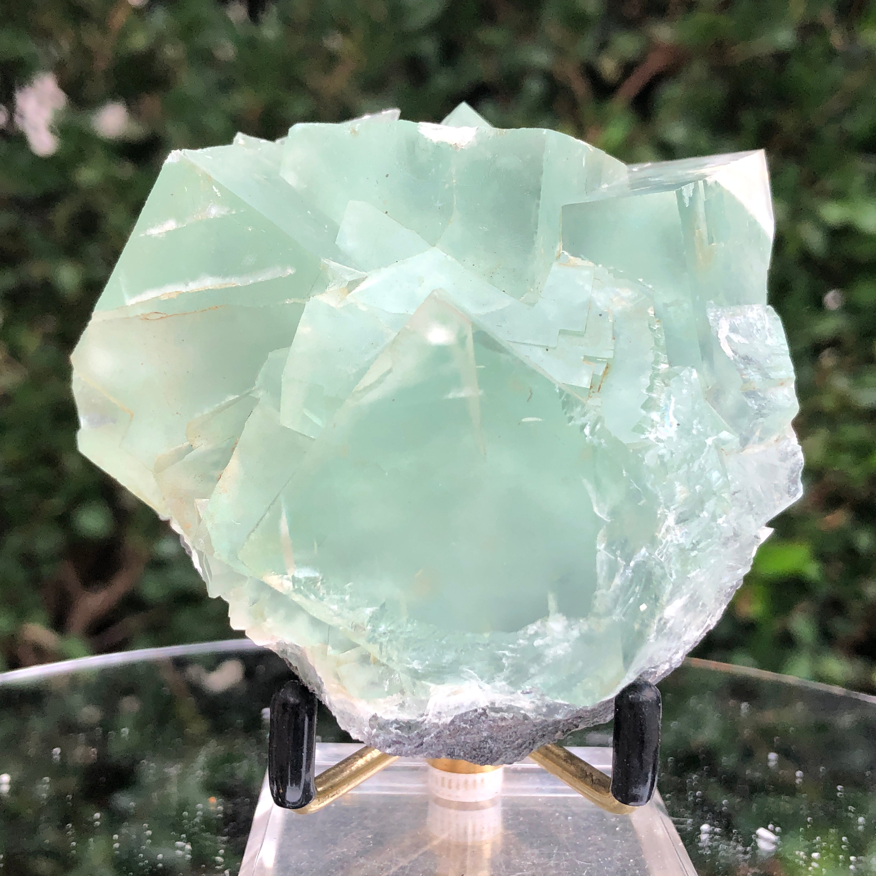 356g 8x8x6cm Green Fluorite Translucent from China