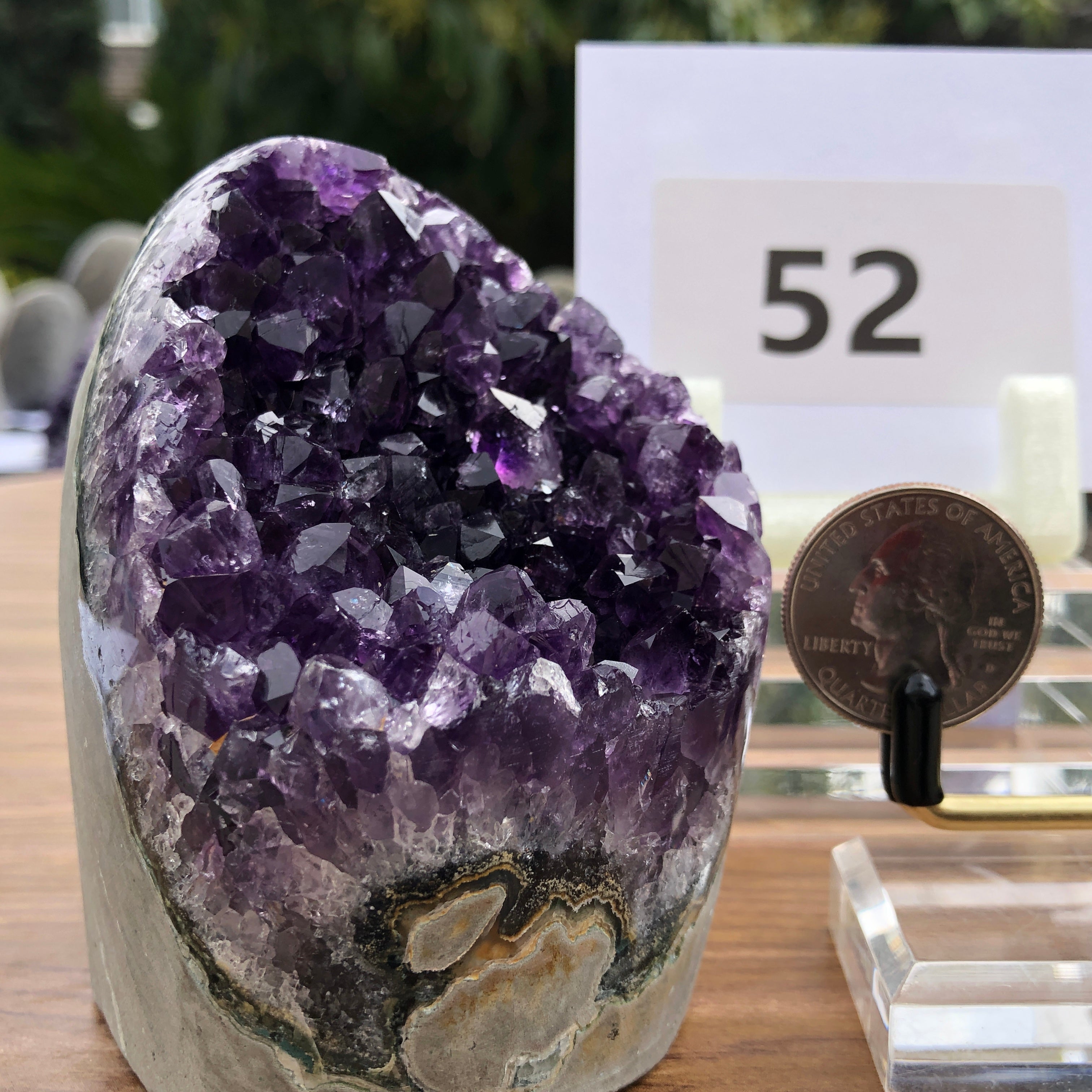 Purple Amethyst Geode  from Uruguay