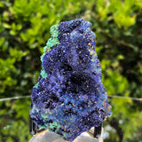 198g 7x6x4cm Blue Azurite w/ green Malachite from Sepon Mine, Laos