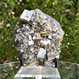 436g 9x8x4cm Gold pyrite with black Galena from Peru