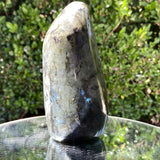 836g 15x7x4cm Rainbow Labradorite Natural Shape from China