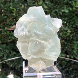 508g 11x7x6cm Green Fluorite Translucent from China