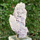 229g 7x5x3cm Purple Grape Agate Chalcedony from Indonesia