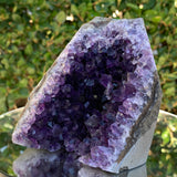 778g 11x10x7cm Purple Amethyst Cluster Cut Base Grade A from Uruguay