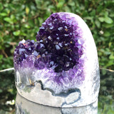 508g 8x7x8cm Purple Amethyst Geode from Uruguay