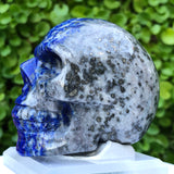 Blue Lapis Lazuli Skull