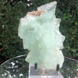 544g 13x8x6cm Green Fluorite Translucent from China