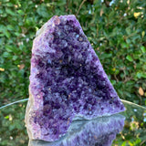 794g 12x11x10cm Purple Amethyst Cluster Cutbase Grade A from Uruguay