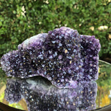 920g 13x11x7cm Purple Amethyst Geode from Uruguay