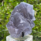 576g 12x9x6cm Veins and Detailed Very Dark Purple Fluorite from Balochistan, Pakistan