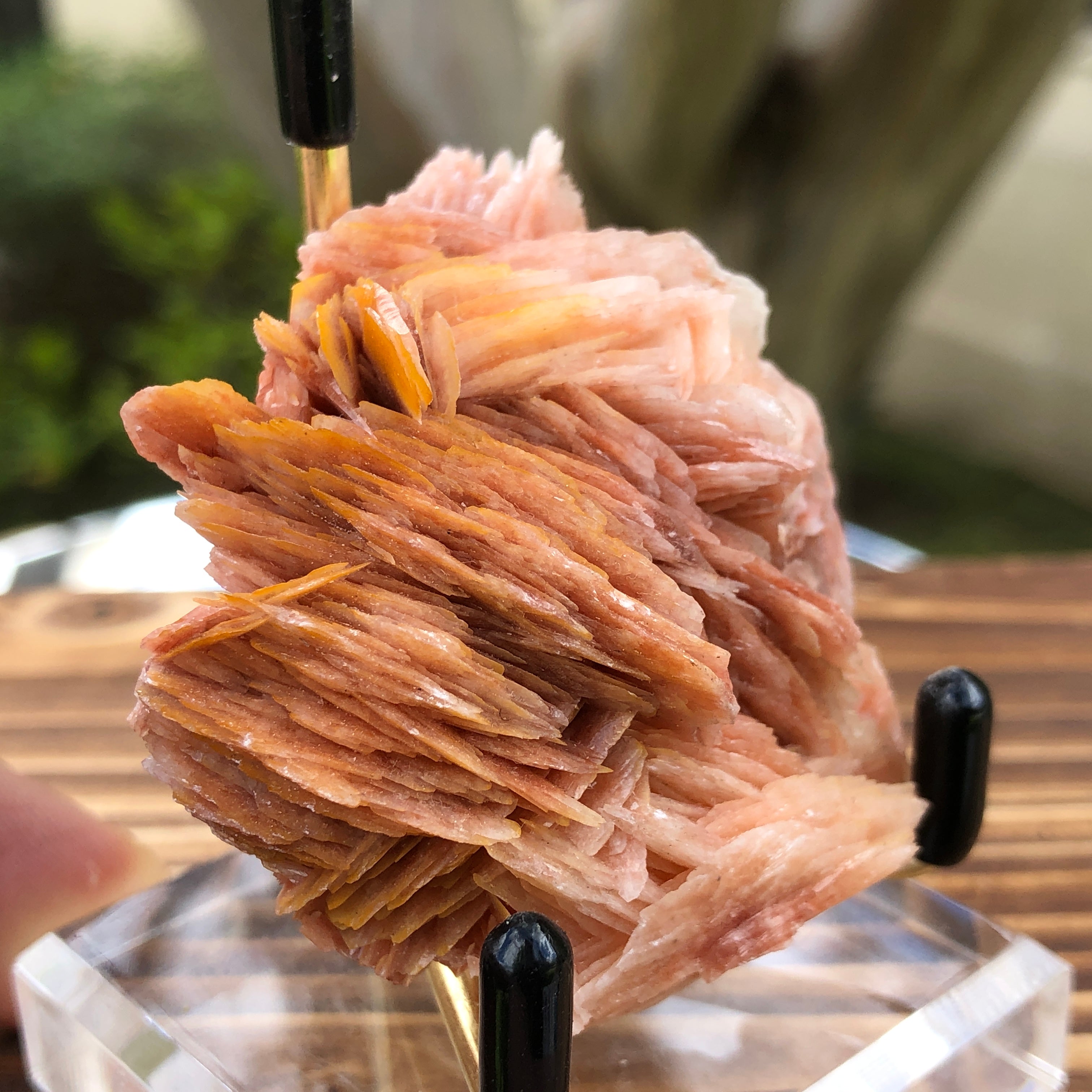 88g 2x2.1x0.9cm Pink Barite from Morocco