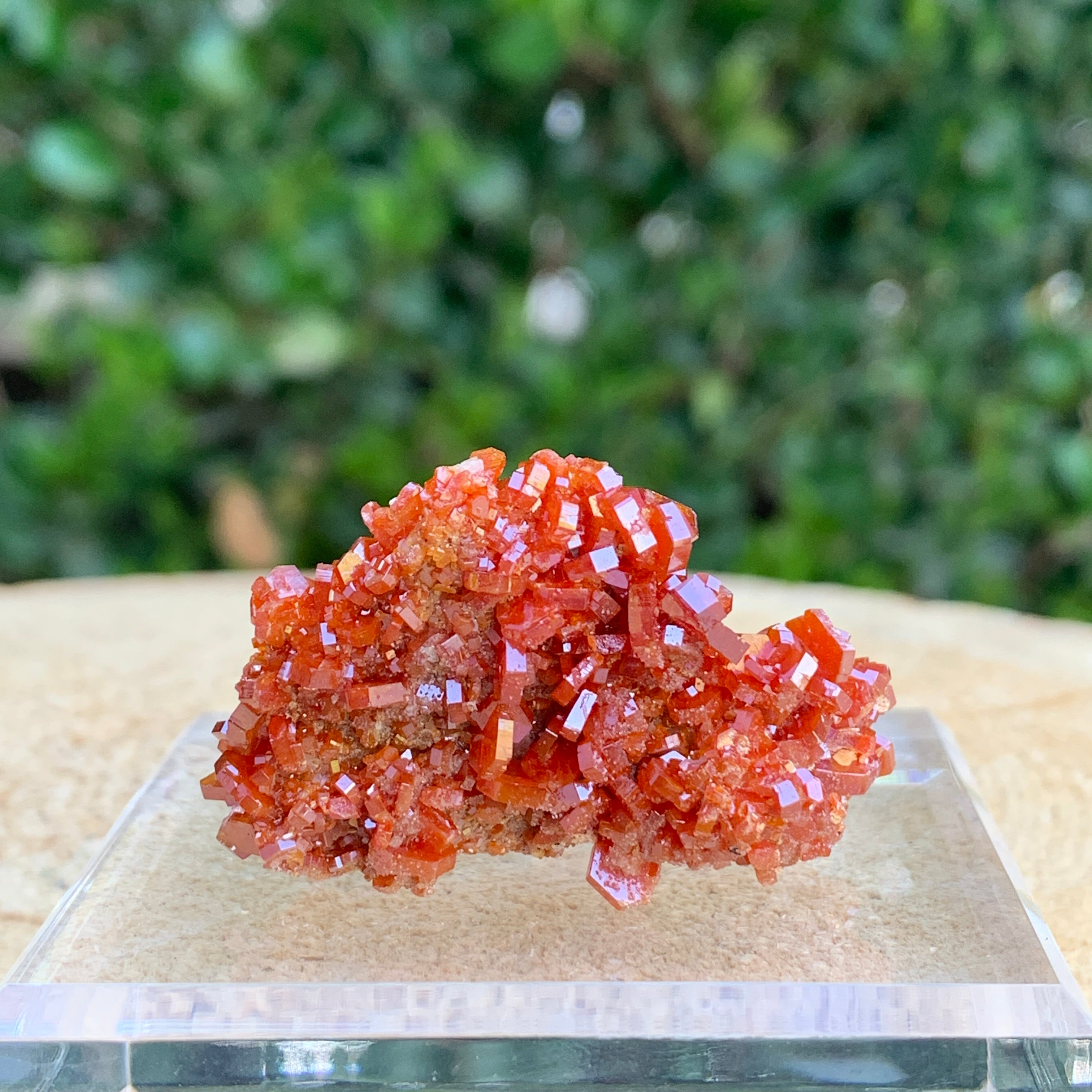 25.6g 4.5x3x2.5cm Shiny Red Vanadinite from Morocco