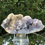 492g 18x9x4cm Lavander Purple Fluorite  from China