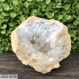 536g 11x9x8cm Clear Clear Calcite Geode from Mexico