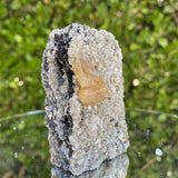 132g 7x5x3cm Orange Scheelite on Silver Muscovite from China - Locco Decor