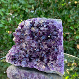 794g 11x9x7cm Purple Amethyst Cluster Cutbase Grade A from Uruguay