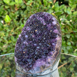556g 7x7x9cm Purple Amethyst Geode from Uruguay