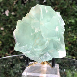 356g 8x8x6cm Green Fluorite Translucent from China