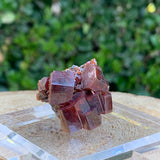 43.8g 3x3x2cm Red Vanadinite Nugget from Morocco