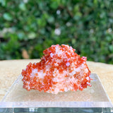 25.6g 4.5x3x2.5cm Shiny Red Vanadinite from Morocco