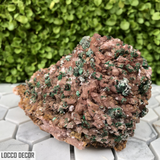 721g 7x9x11cm Brown Rosasite Malachite with Selenite over Dolomite from Morocco