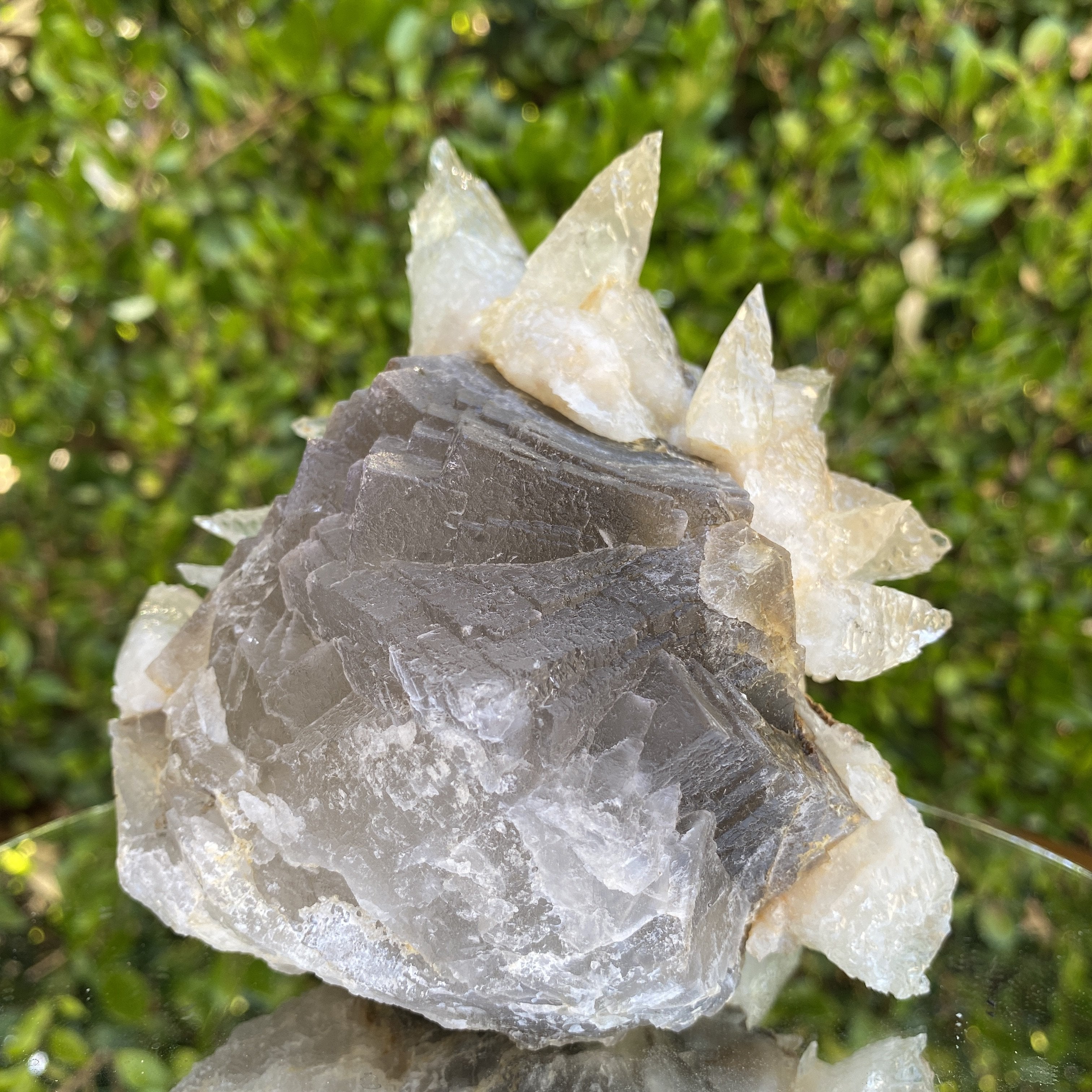 1.42kg 14x13x12cm Spiky White Calcite Grey Fluorite from Balochistan, Pakistan - Locco Decor