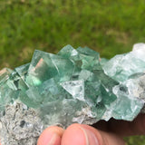558g 15x9x6cm Glass Green and Clear Fluorite from Xianghualing,Hunan,CHINA