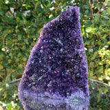 1.2kg 11x8x4cm Purple Amethyst Cluster Cut Base Grade A from Uruguay